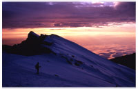 Kilimanjaro