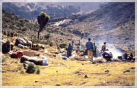 Kilimanjaro